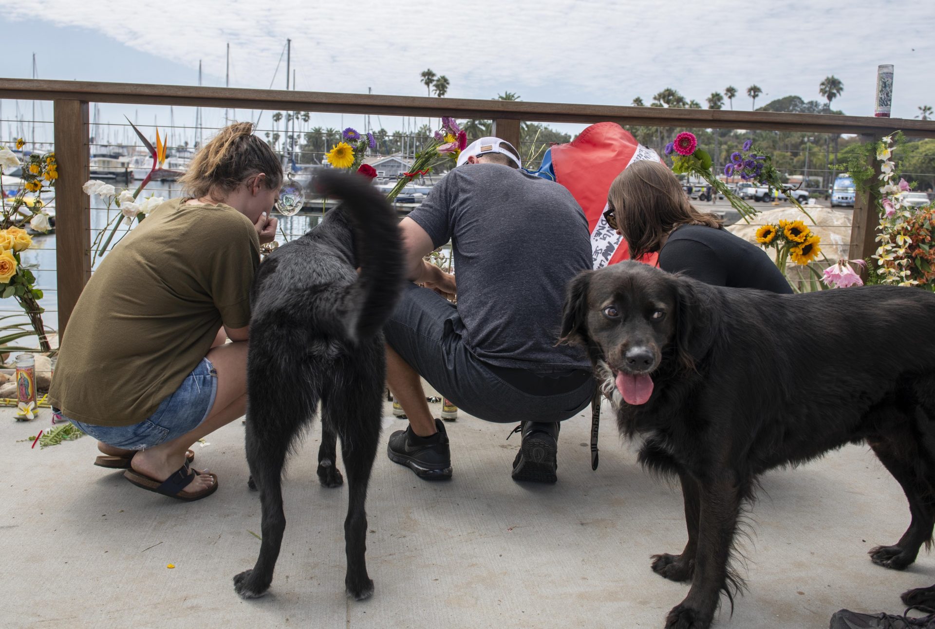 Local residents with their dogs pause at a memorial for the victims of the Conception vessel outside of the Sea Landing at Santa Barbara Harbor in Santa Barbara, Calif., Tuesday, Sept. 3, 2019.
