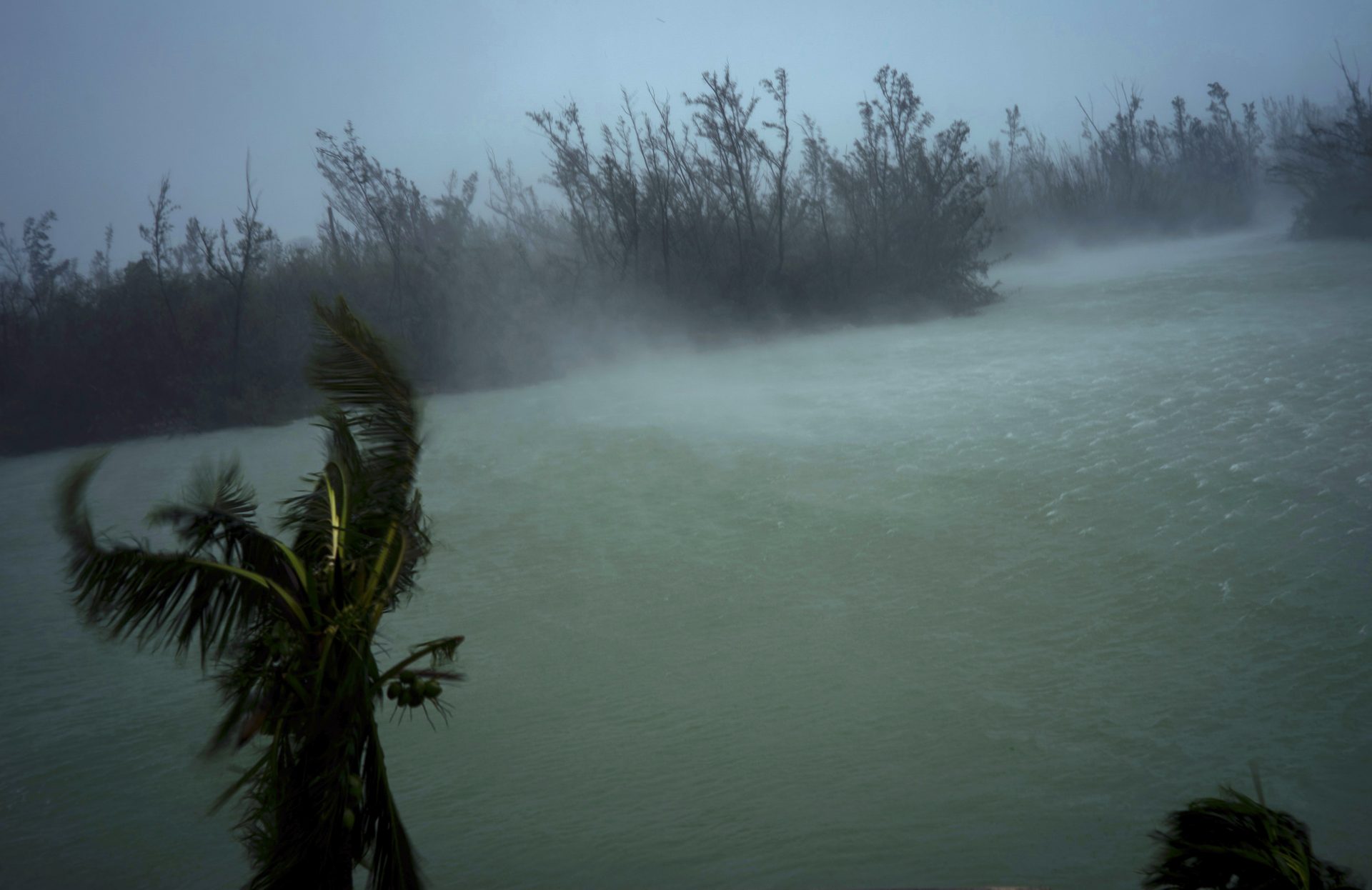 Strong winds from Hurricane Dorian blow the tops of trees and brush while whisking up water from the surface of a canal that leads to the sea, located behind the brush at top, seen from the balcony of a hotel in Freeport, Grand Bahama, Bahamas, Monday, Sept. 2, 2019. Hurricane Dorian hovered over the Bahamas on Monday, pummeling the islands with a fearsome Category 4 assault that forced even rescue crews to take shelter until the onslaught passes.