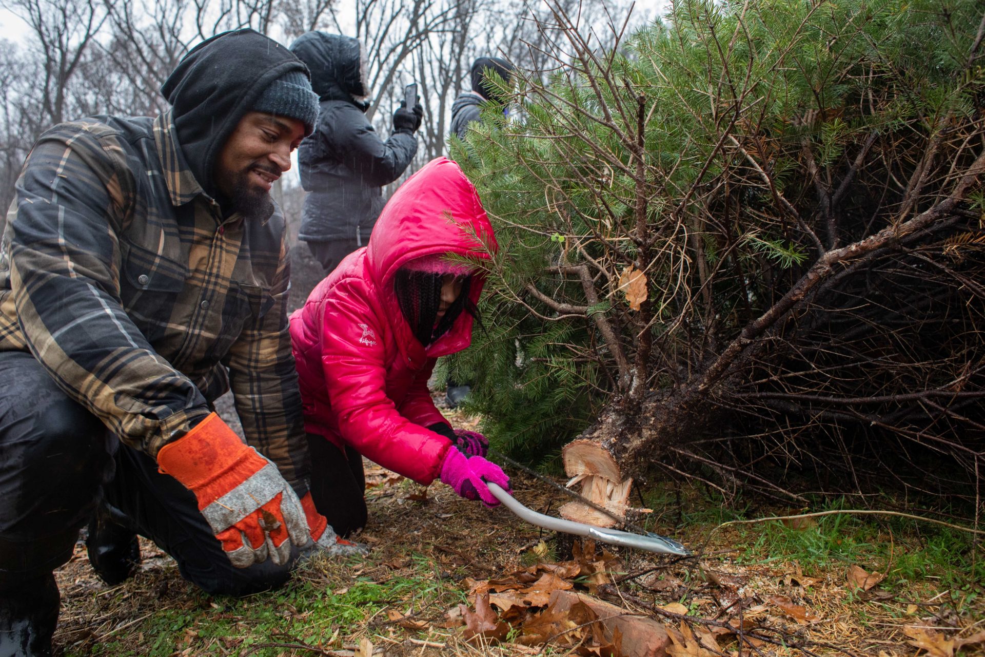 Gabbi Lynard (right), age 9, of Cherry Hill, New Jersey helps her father Anthony Lynard (left) cut down their Christmas tree at Linvilla Orchards in Media, Pennsylvania on Sunday.