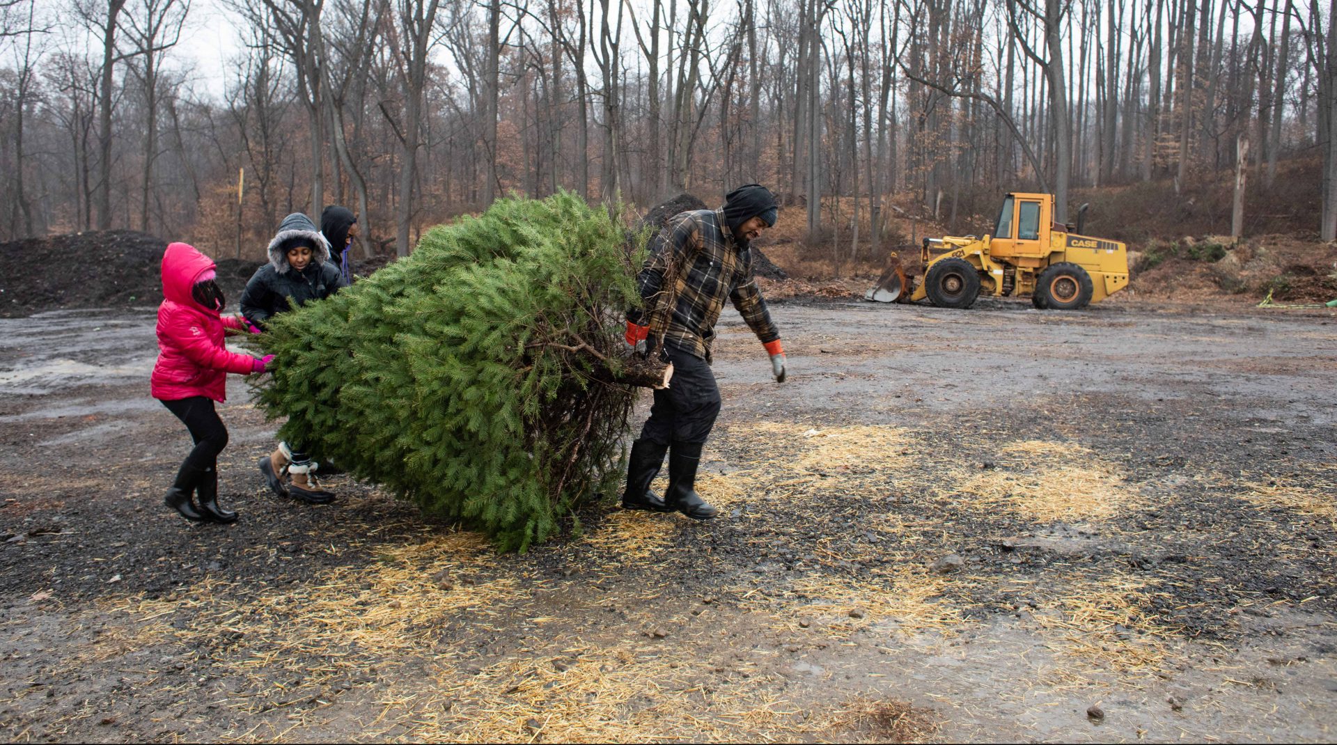 The Lynard family of Cherry Hill, New Jersey, carries their Christmas tree at Linvilla Orchards in Media, Pennsylvania on Sunday.