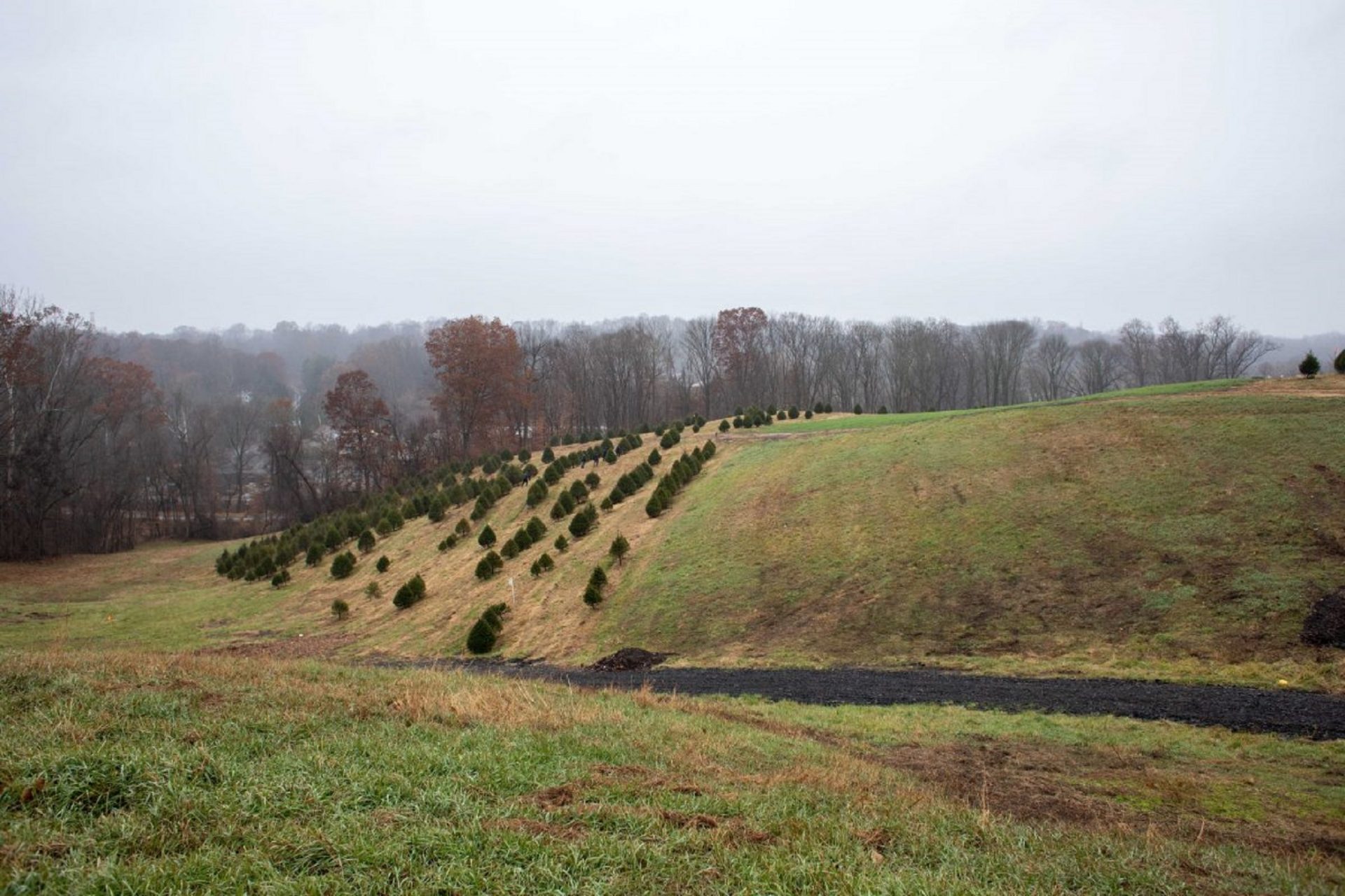 Families braved the cold and rainy weather at Linvilla Orchards in Media, Pennsylvania on Sunday. 