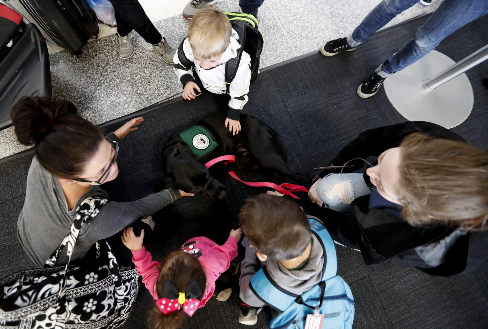 Danielle Lange, right, of Bridgewater, N.J., lets the LaCount family, of Chicago, pet her service dog named Orchid during a layover at Newark Liberty International Airport during a training exercise, Saturday, April 1, 2017, in Newark, N.J. Trainers took dogs through security check and onto a plane as part of the exercise put on by the Seeing Eye puppy program.