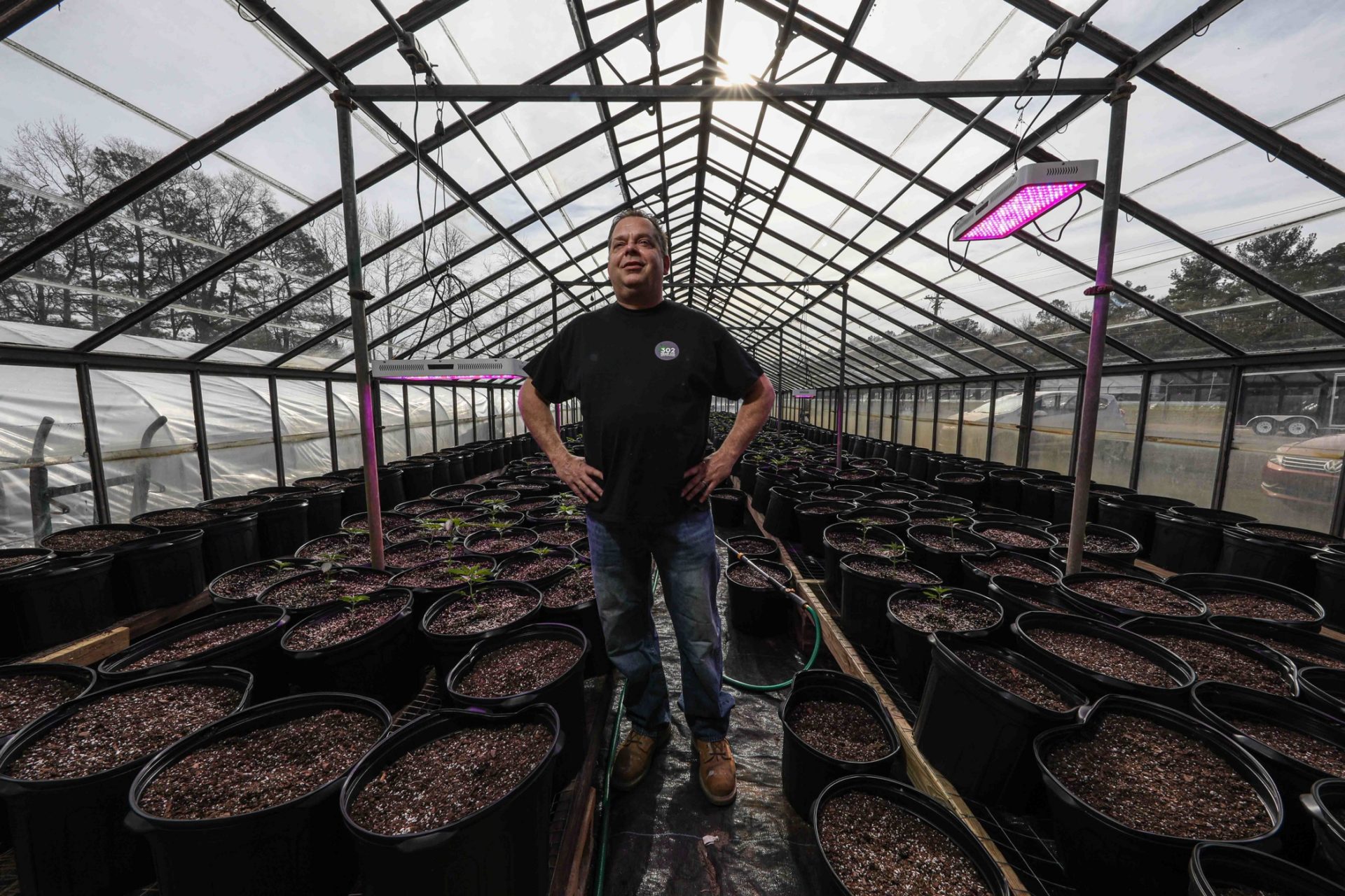 Mike Spray, a hemp grower, poses for a photo in a greenhouse Monday, Feb. 03, 2020, at 302 Hemp Co, in Georgetown, Del. It’s been a year since the hemp growing pilot program in Delaware started and the USDA has made regulations for hemp growing.