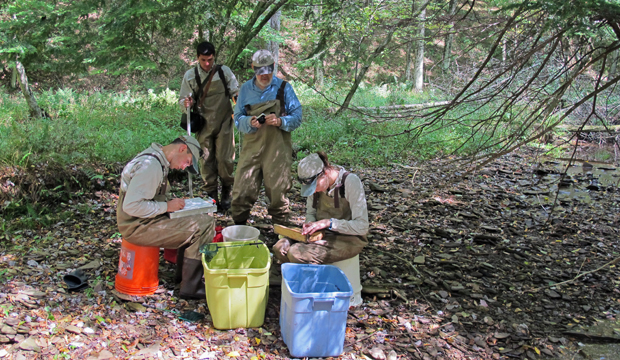 Richard Horwitz (center in blue) and his crew identify samples at a stream in north central Pennsylvania.