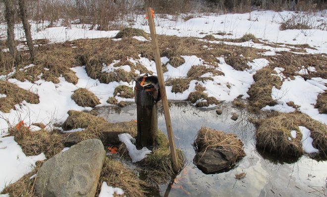 An abandoned well from the early 1900's spews oil into the Tamarack Swamp. 