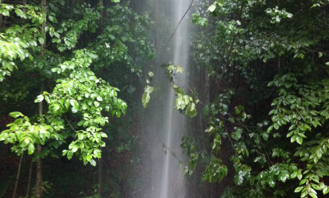 A geyser of methane and gas sprays out of the ground near a Shell drilling site in Tioga County. StateImpact Pennsylvania obtained this picture from a nearby landowner.