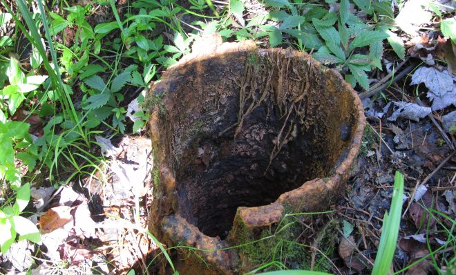 An abandoned, unplugged well near the Allegheny National Forest