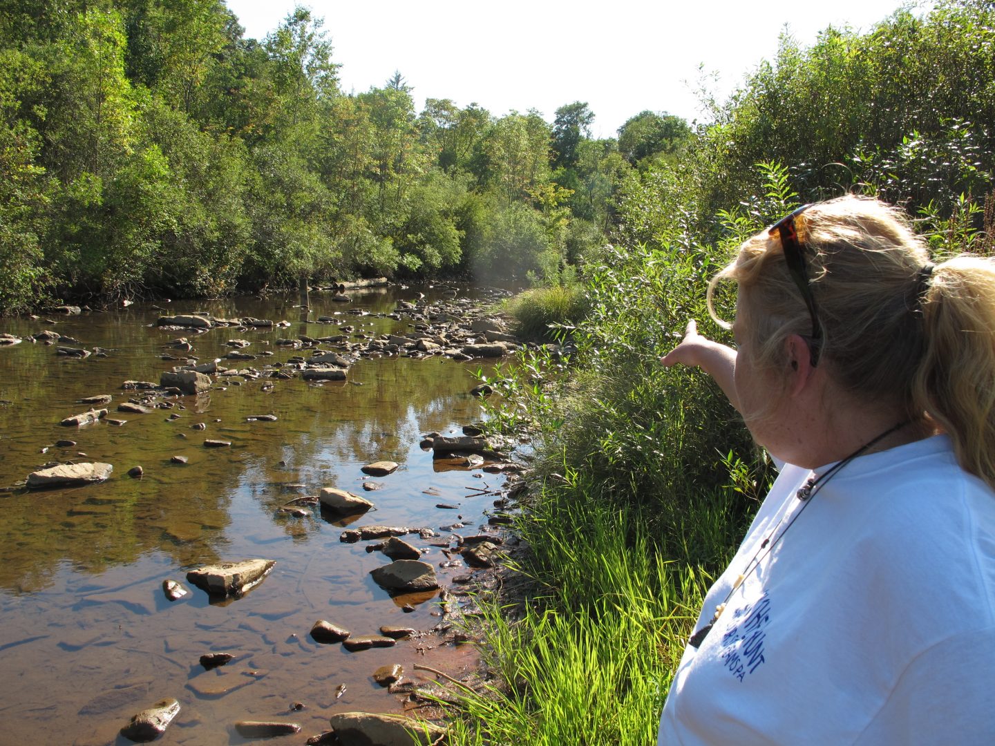 Laurie Barr points to an abandoned well located in the middle of a McKean County stream