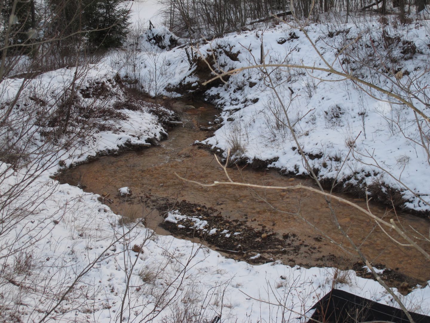 An orange colored stream flows from an abandoned mine in Tioga County. This tributary to Johnson Creek supports no invertebrate or aquatic life.