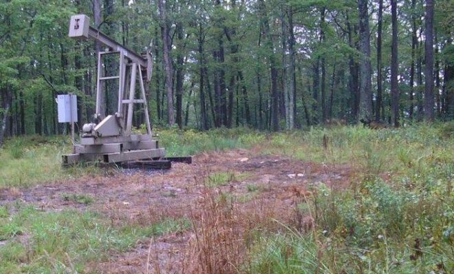 Dead vegetation around a conventional well indicates a possible brine spill.