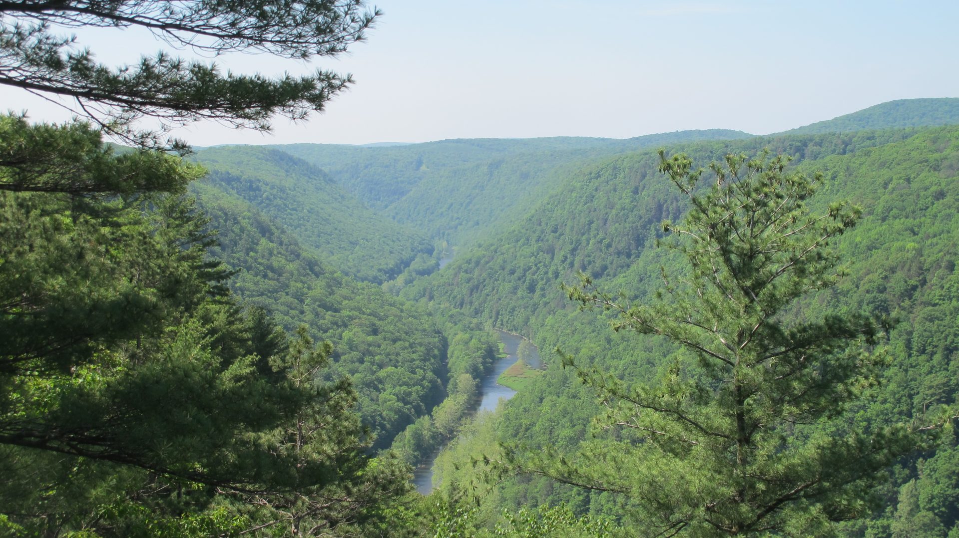 The Pine Creek Gorge in Tioga County.