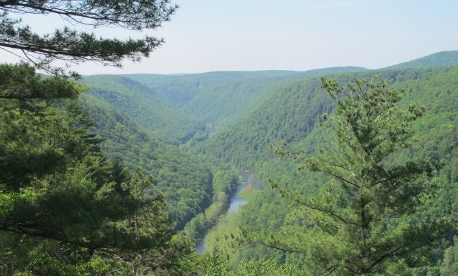 The Pine Creek Gorge in Tioga County.