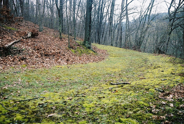 A trail in Ryerson Station State Park, managed by the DCNR whose leasing of state lands for oil and gas development is at issue in a new court challenge by an environmental group.