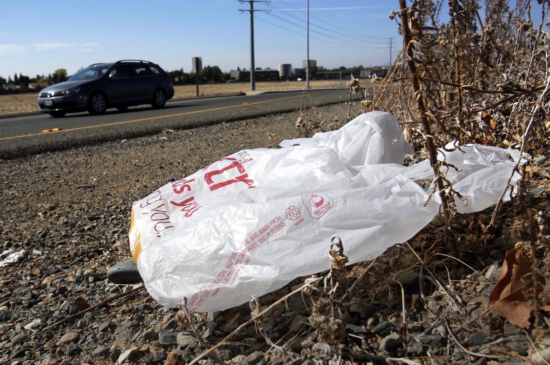 Pa. communities eyeing plastic bag bans PA Post