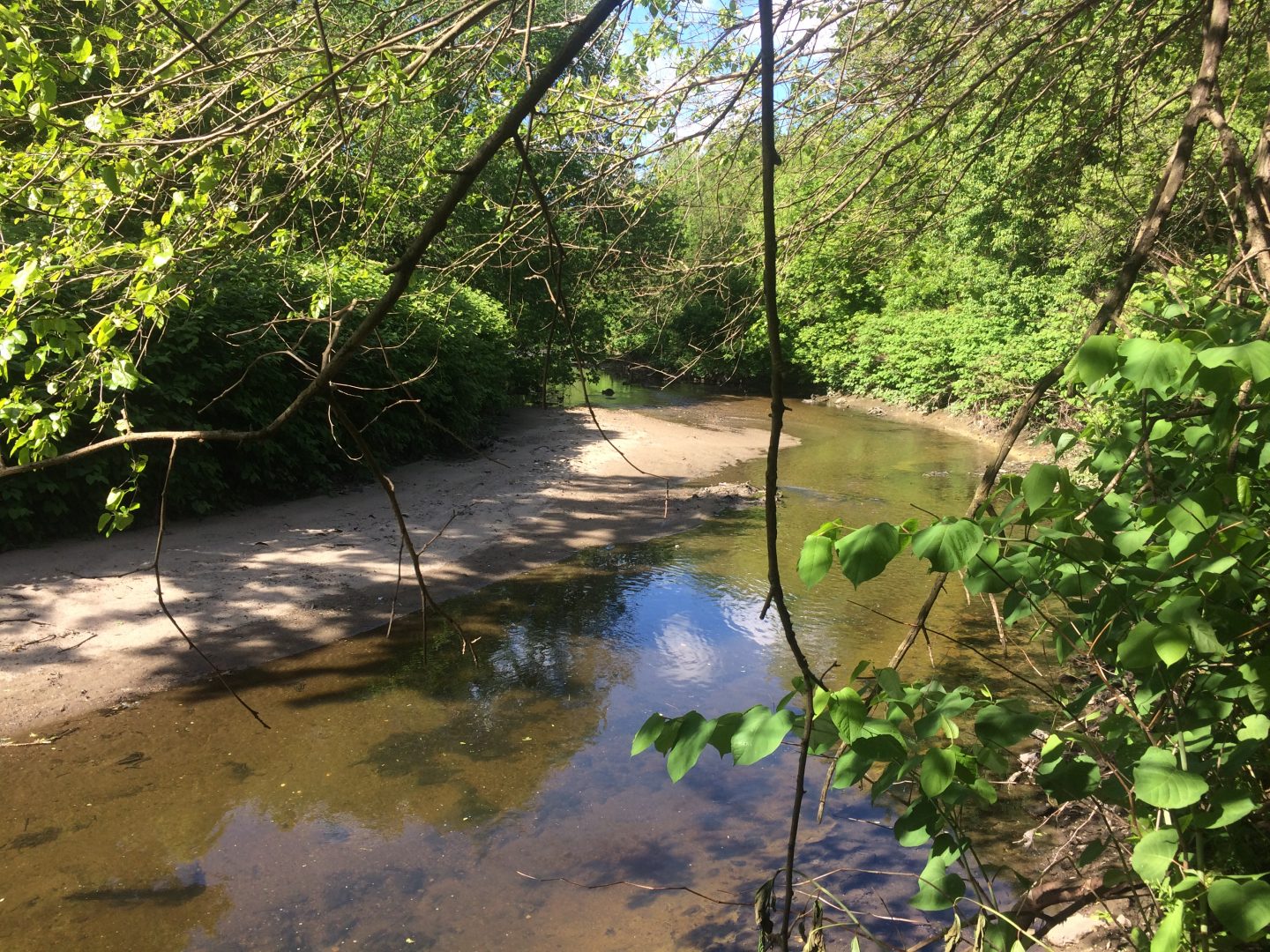 Cobbs Creek flows from heavily developed upstream communities down to Eastwick, which bares the brunt of flooding during heavy storms.