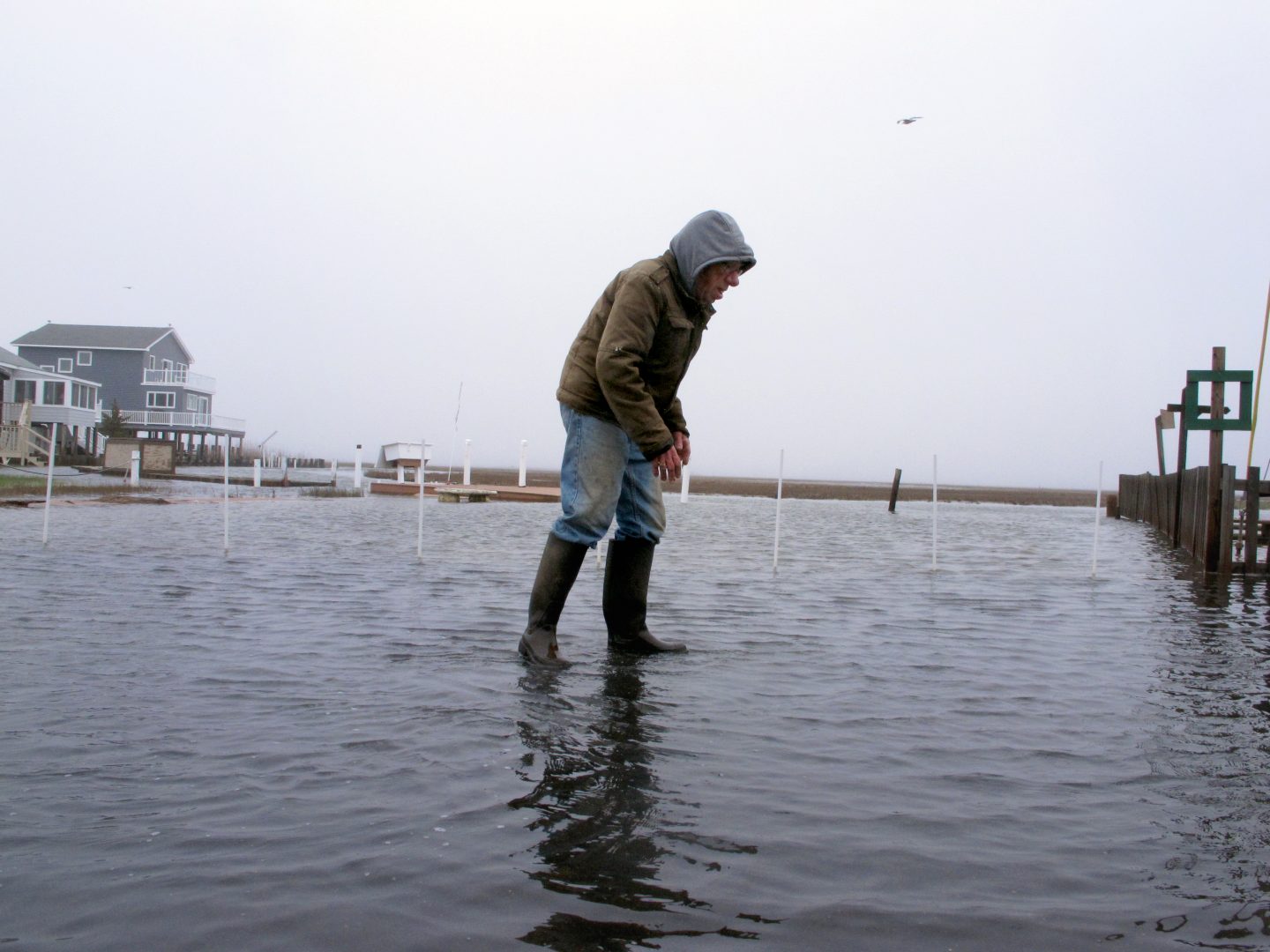 This April 26, 2017 photo shows Jim O'Neill walking through a flooded street in front of his home in Manahawkin N.J. after a moderate storm. He lives in a low-lying area near the Jersey shore, and is often affected by back bay flooding, a type of recurring nuisance flooding that's affecting millions of Americans and which experts agree has not been as widely addressed as oceanfront flooding, in part because potential solutions are much more difficult.