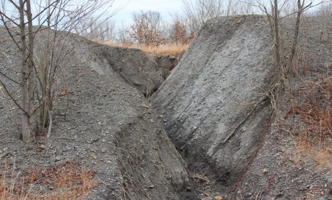 A pile of waste coal sits abandoned in Fredericktown. Photo: Reid Frazier