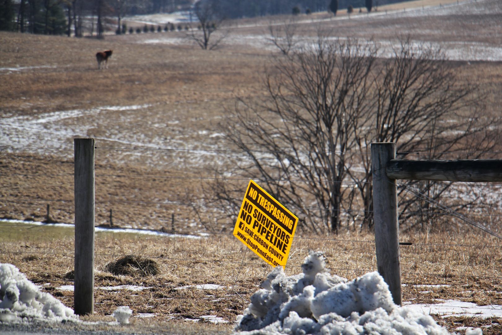 A sign on farmland in Palmerton shows local opposition to the PennEast pipleline. Some believe land under the Farmland Preservation program has been targeted for the route because of it's lower market value. (Emma Lee/WHYY)