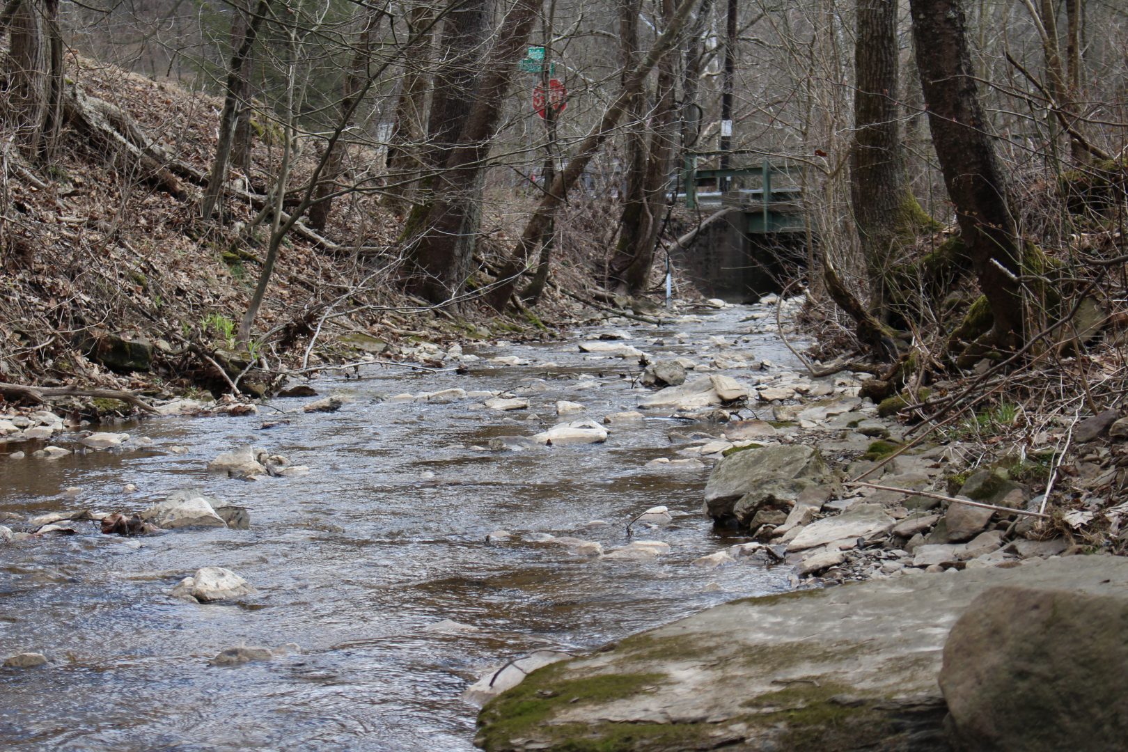 Polen Run in Ryerson Station State Park, Greene County. Photo: Center for Coalfield Justice
