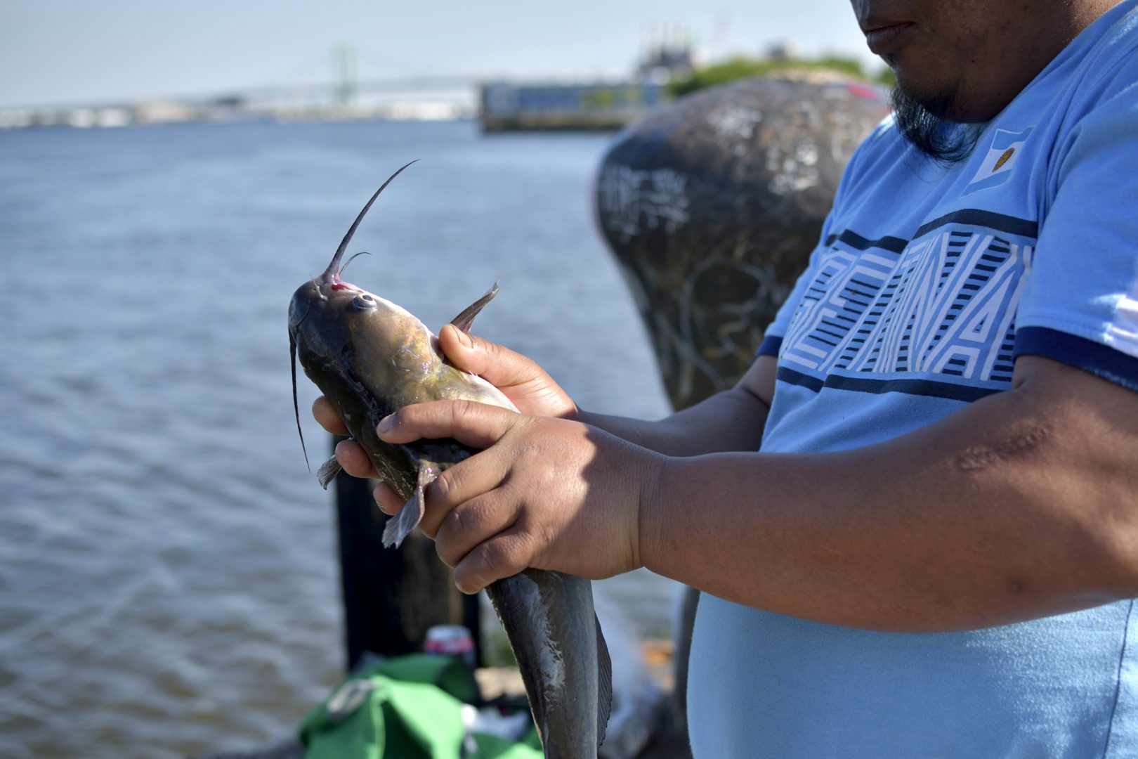 Fishermen share a caught catfish at Pier 60 on the Delaware waterfront, near Tasker Street, in South Philadelphia, PA, on May 12, 2018. (Bastiaan Slabbers/for WHYY)