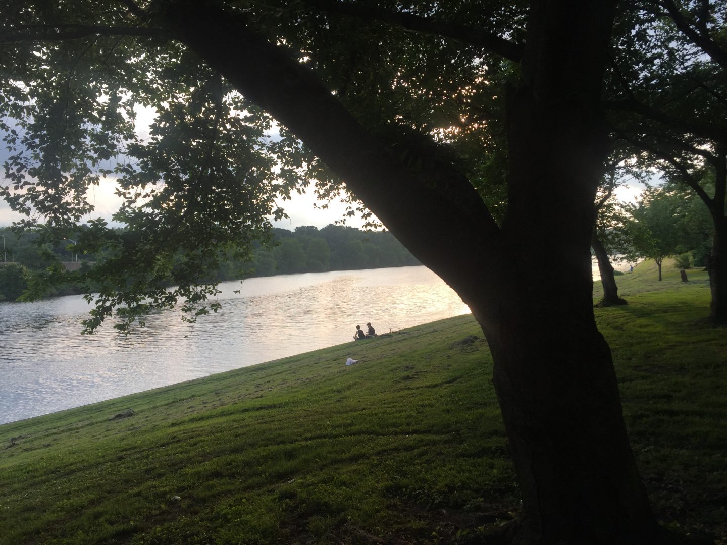 The Schuylkill river at dusk in Philadelphia. The river is a popular fishing spot. In 2018, the New Jersey DEP began testing fish for the family of chemicals known as PFAS and issued fish advisories. New Jersey has stricter limits on PFAS exposure than Pennsylvania.