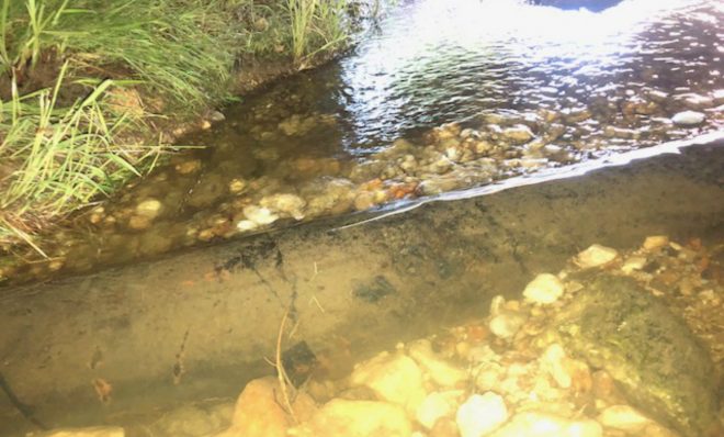 The Mariner East 1 natural gas liquids pipeline has been exposed in a creek near a housing development in Uwchlan Township, Chester County.