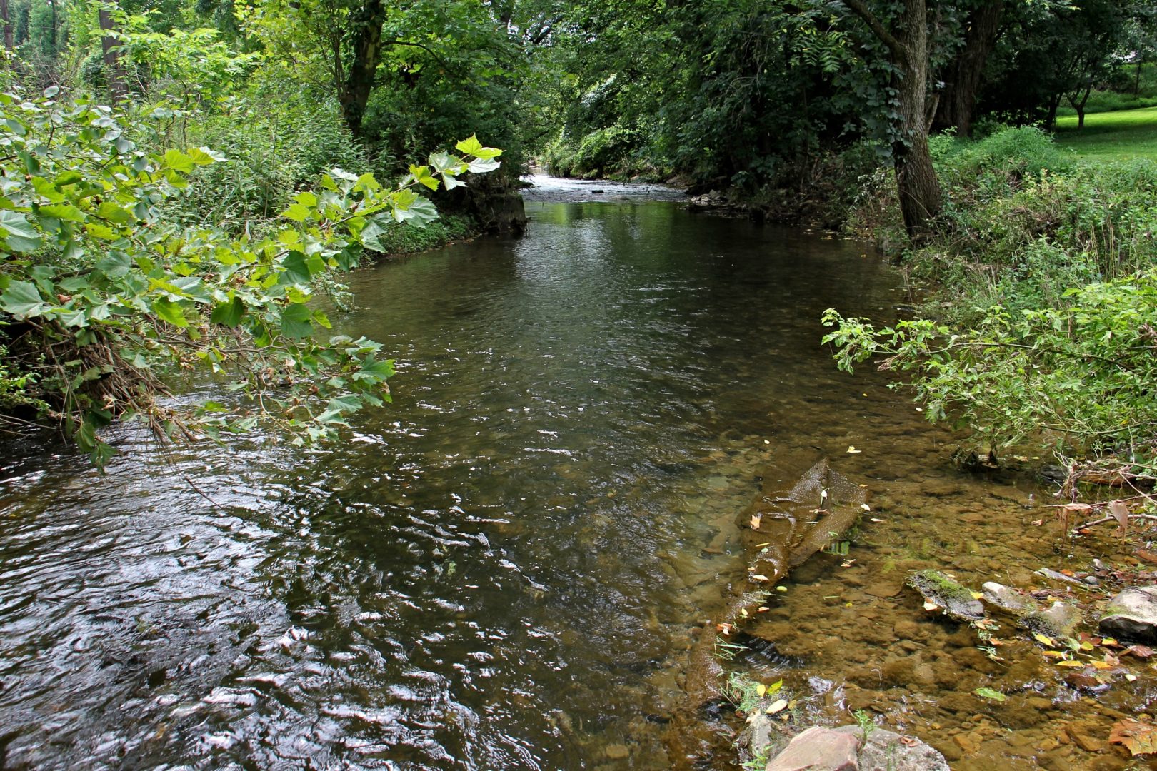 Cedar Creek, a tributary of the Delaware river, flows through Allentown, Pa. 