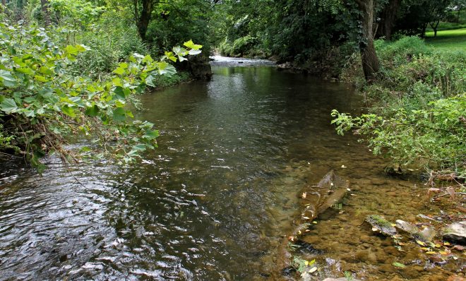 Cedar Creek, a tributary of the Delaware river, flows through Allentown, Pa. 