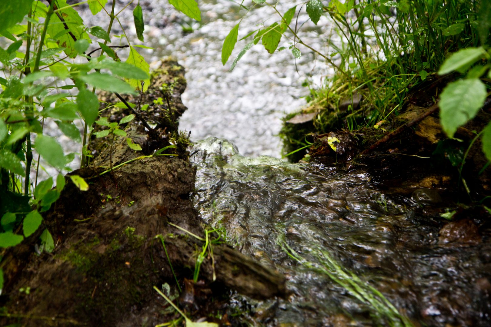 How clean are Pa.’s waterways? A new DEP report breaks down water quality