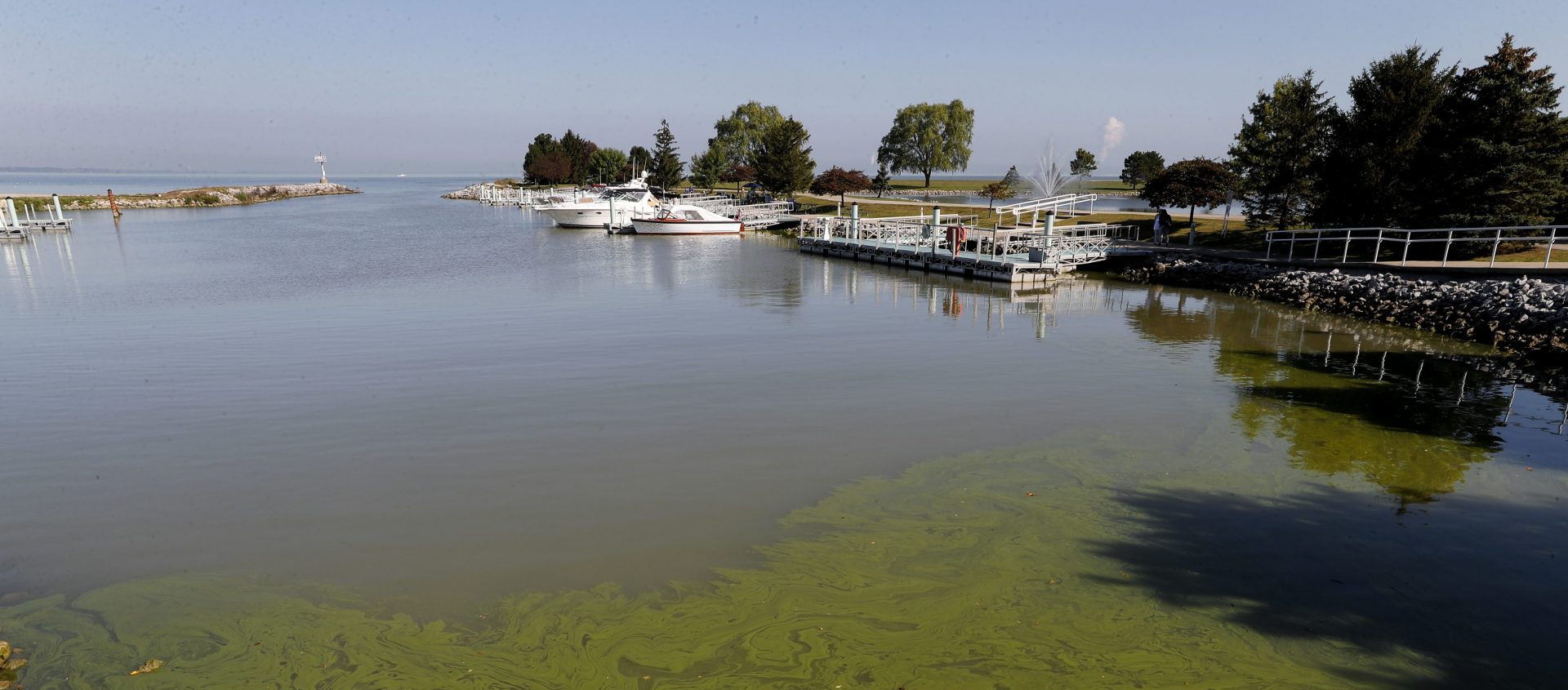 FILE - In this Sept. 15, 2017, file photo, algae floats in the water at the Maumee Bay State Park marina in Lake Erie in Oregon, Ohio. 