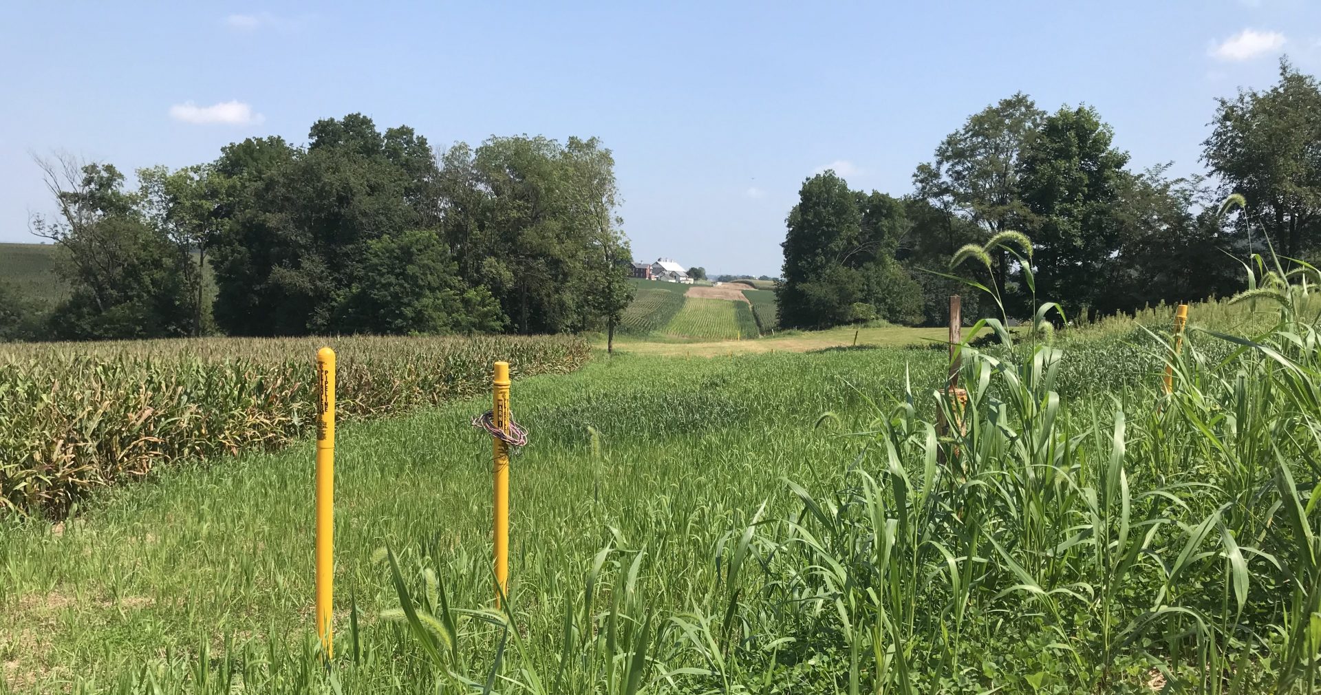 Yellow markers show the right of way for the Mariner East pipeline in Lebanon County.