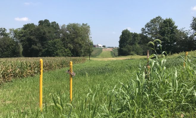 Yellow markers show the right of way for the Mariner East pipeline in Lebanon County.