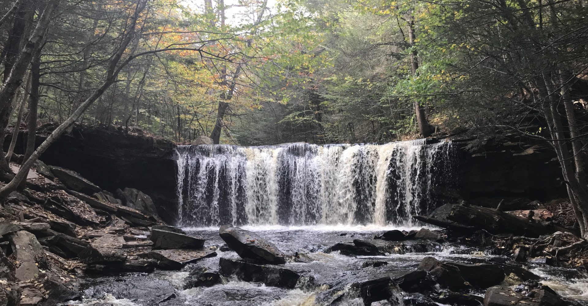 A waterfall in Ricketts Glen State Park.