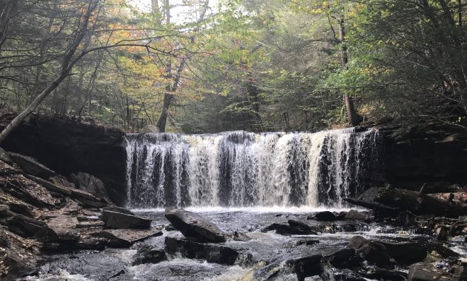 A waterfall in Ricketts Glen State Park.