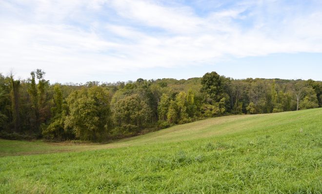 The Allegheny Land Trust manages the Audubon Greenway northwest of Pittsburgh. The organization first acquired a piece of the land in 2003 and has since added to it with a combination of public and private dollars.