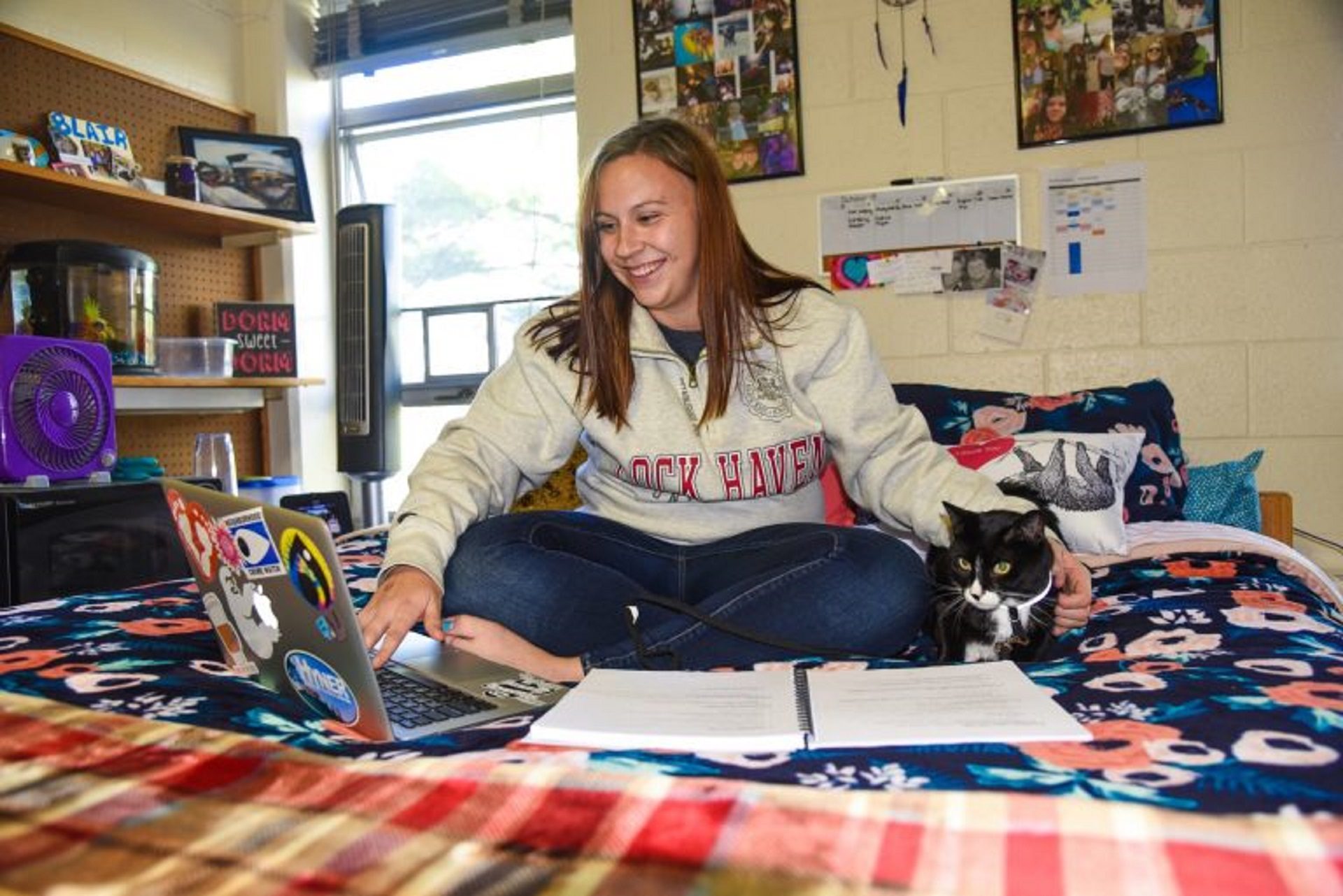 Creature comfort Lock Haven opens dorm to pets, helping students de