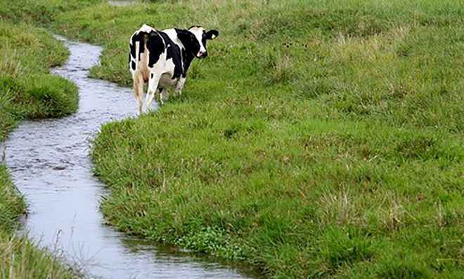 Pennsylvania's dairy industry has been struggling for several years.