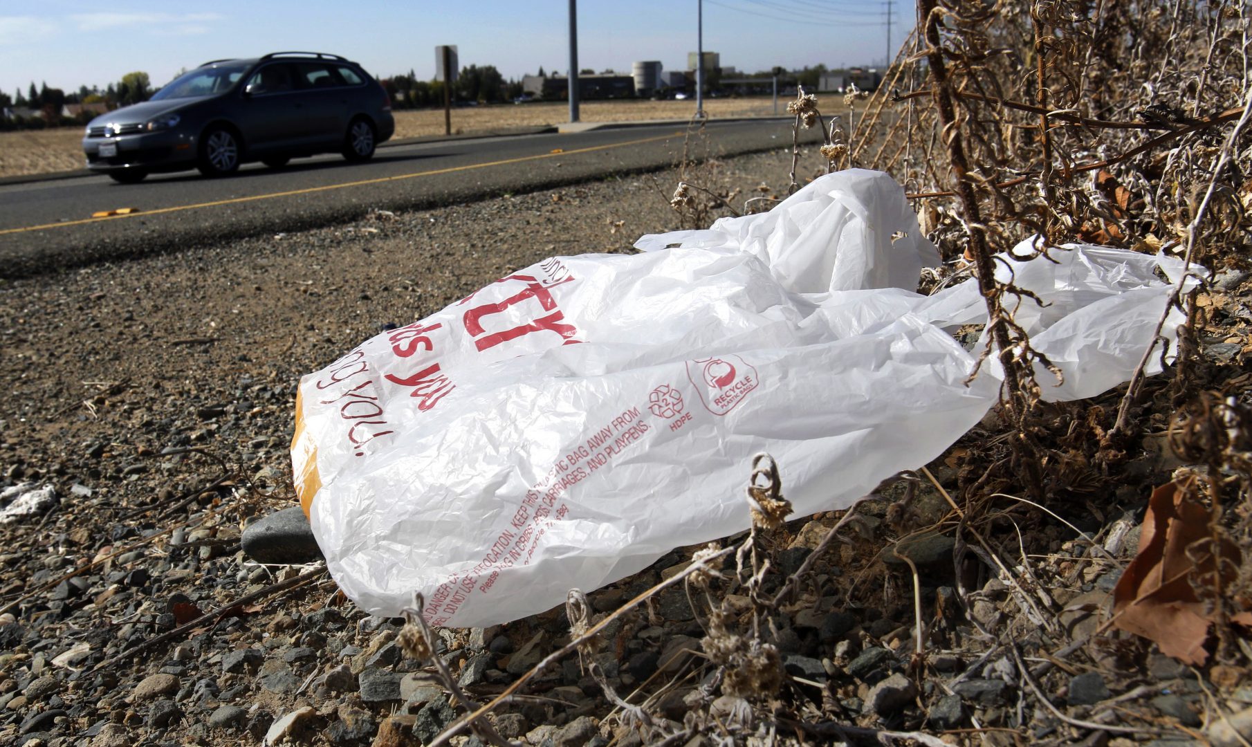 FILE PHOTO:  A plastic bag sits along a roadside in Sacramento, Calif.  