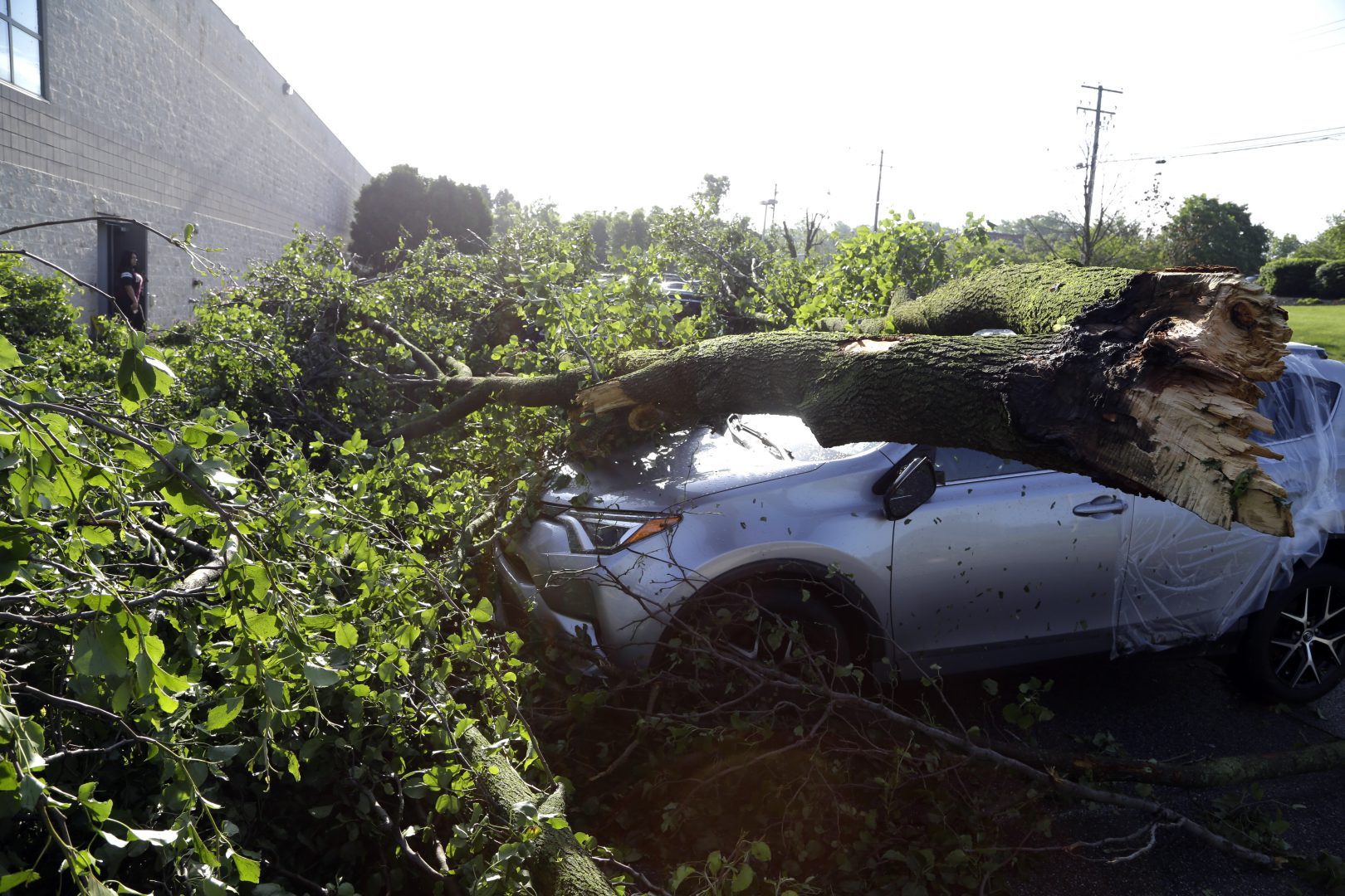 Downed tree limbs remain on cars outside a business Wednesday May 29, 2019 in Morgantown, Berks County. The National Weather Service says a tornado has been confirmed Tuesday in eastern Pennsylvania, where damage to some homes and businesses occurred, but there were no immediate reports of injuries. 