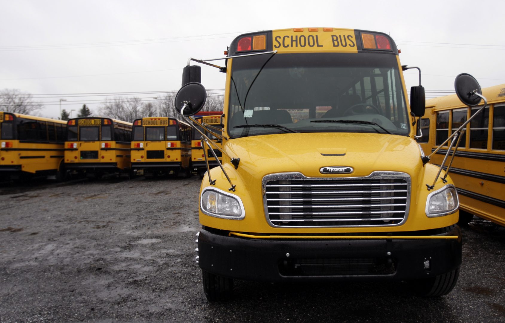 School busses are seen at Rohrer Bus Sales in Duncannon, Pa., Thursday, Dec. 11, 2008.