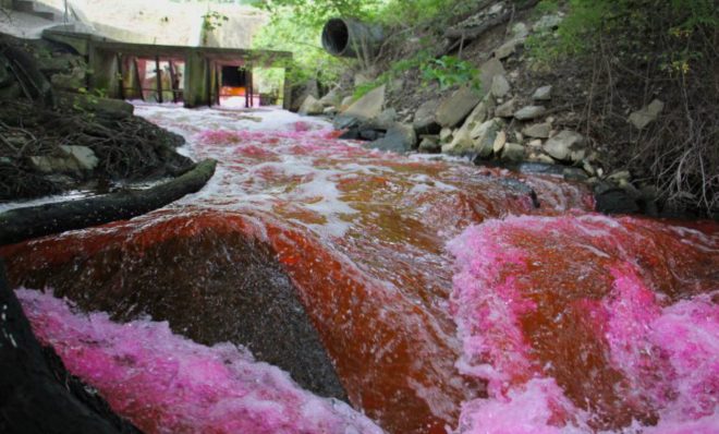 Red dye is released from the Kent County wastewater treatment plant into The Gut, a tributary of the Murderkill River which runs into the Delaware Bay. 