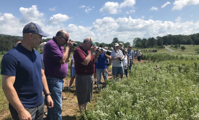 The Fort Indiantown Gap National Guard training center in Lebanon County, Pennsylvania is the only known habitat for the Regal Fritillary butterfly in the eastern U.S.