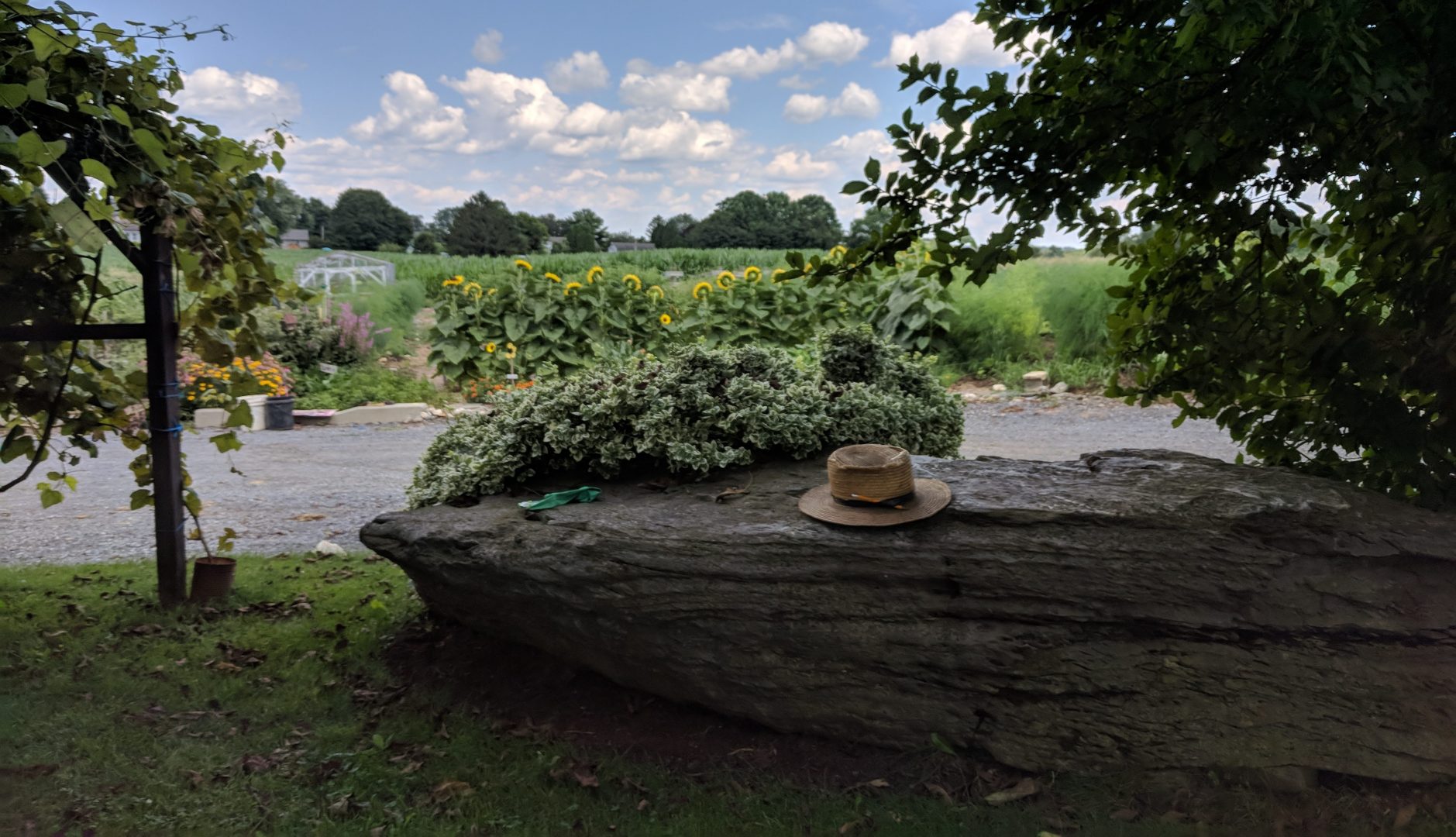 An Amish man’s hat rests on a rock outside a farmhouse in Leacock Township, Lancaster County, on July 24, 2019.