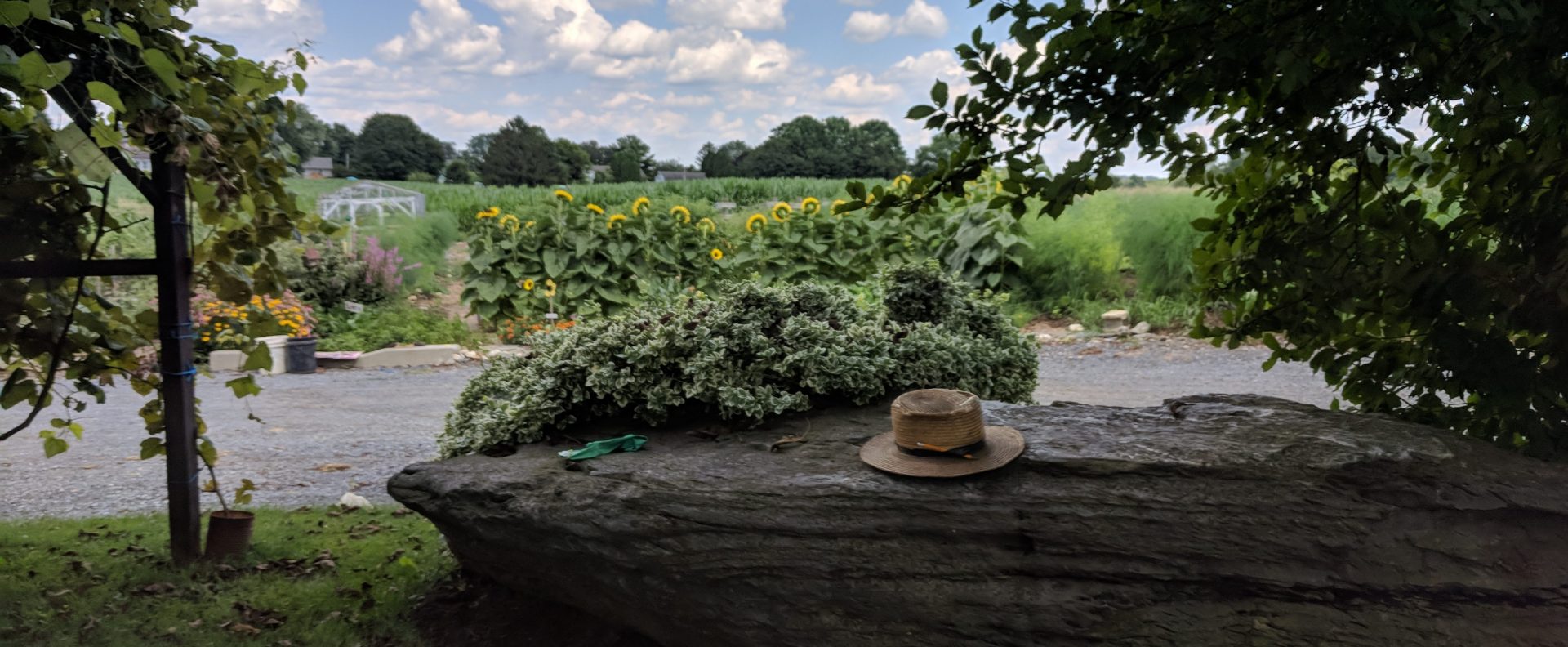 An Amish man’s hat rests on a rock outside a farmhouse in Leacock Township, Lancaster County, on July 24, 2019.