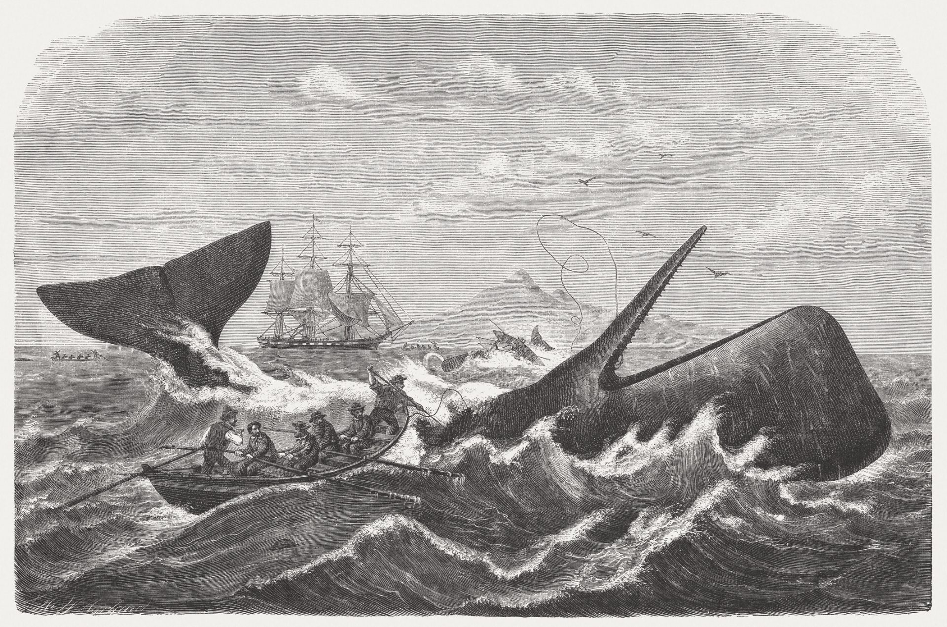 In this 1869 illustration, whalers are seen in action, bringing to mind the novel "Moby-Dick," published 18 years earlier. Herman Melville's Captain Ahab obsessively pursued the white whale, just as some politicians try repeatedly to reform Pennsylvania’s use of property taxes to fund schools.