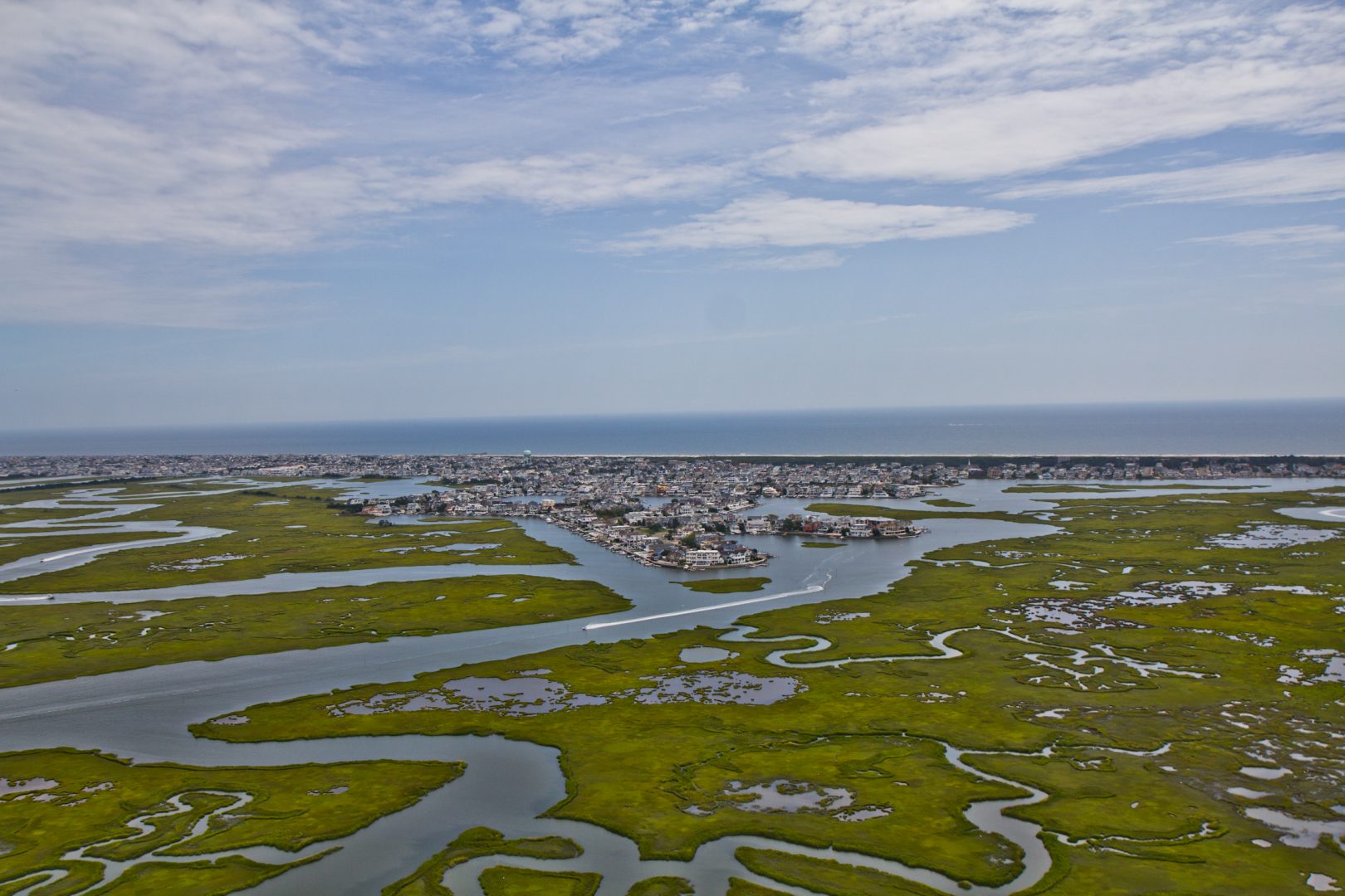 The marsh lands of Cape May County. 