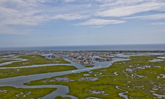 The marsh lands of Cape May County. 