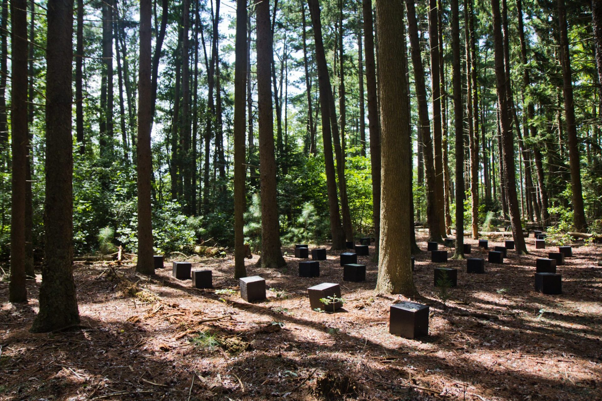 Mosquito traps in New Jersey's Pine Barrens.