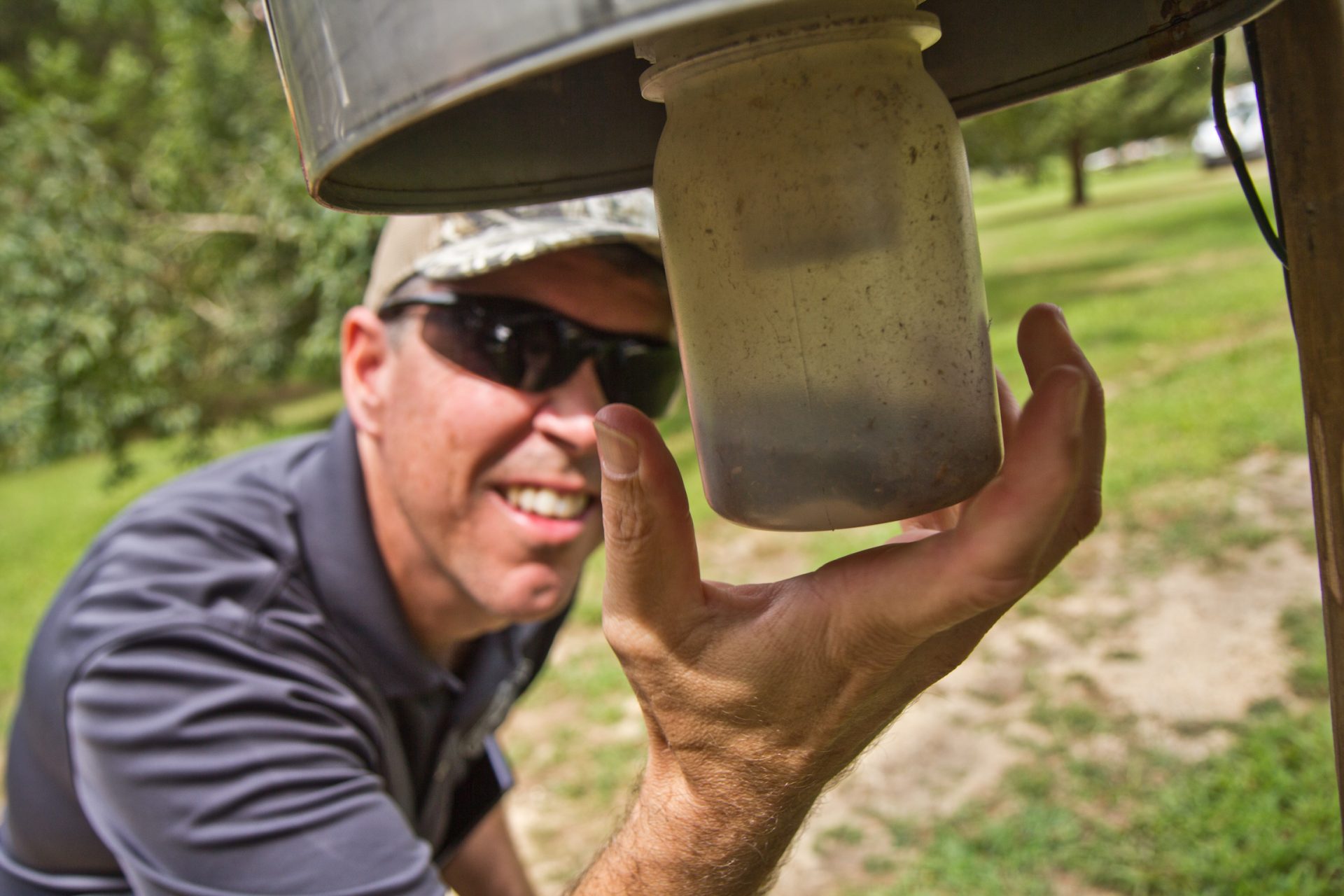 Edward Sokorai removes mosquitoes from a trap in Cape May County.