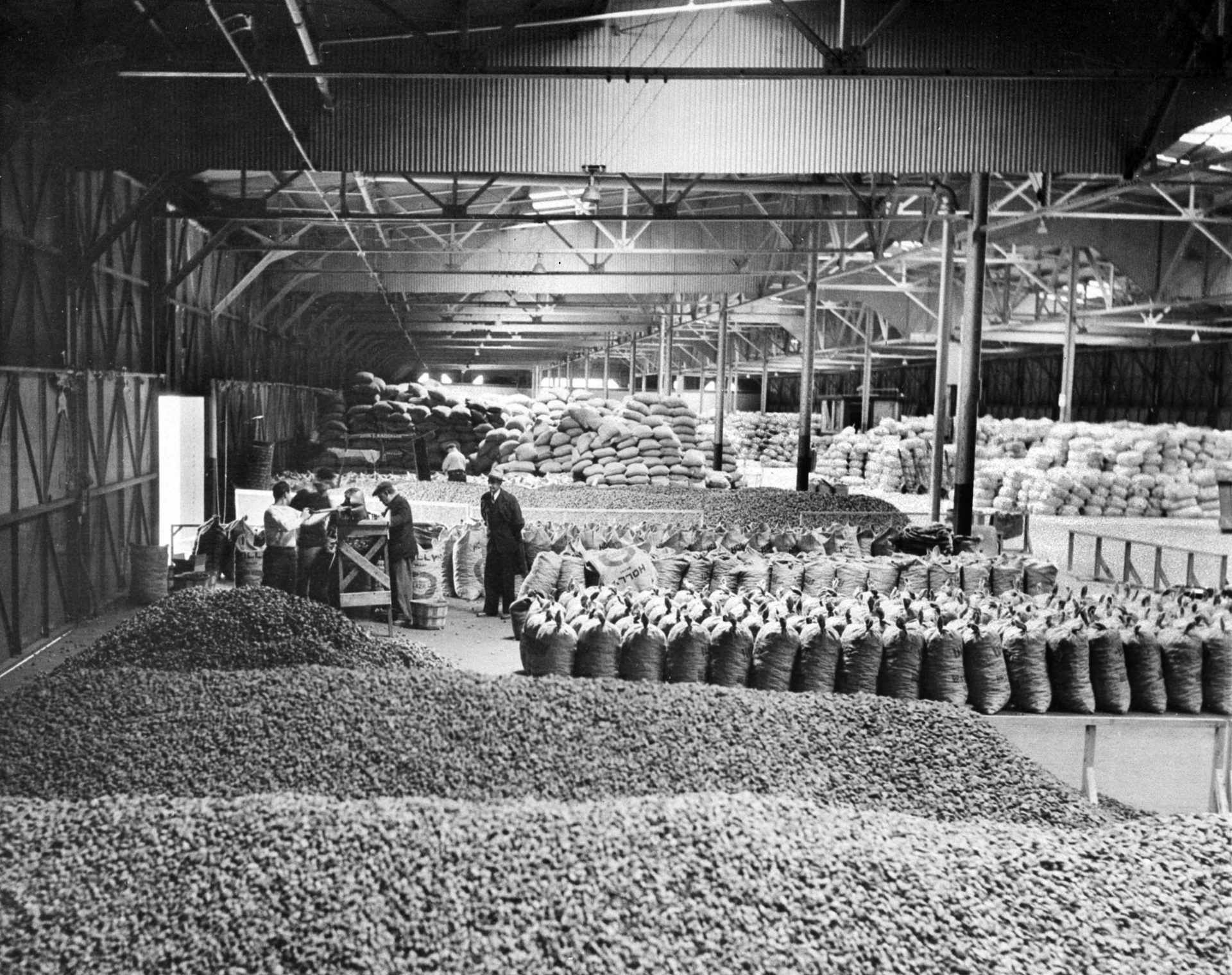 Merchandise of all descriptions and from all parts of the world is stored in the warehouses of New York City's foreign trade zone in the Stapleton section of Staten Island, seen Nov. 12, 1939. Here is a huge supply of Brazil nuts waiting to be graded, cleaned and packed. When ready for shipment, this foreign merchandise may go to a third country for consumption without having paid U.S. import or export duties.